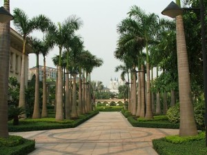 Dubai Và Ai Cập Bất Kỳ Loại Kích Cỡ Của Cây Cọ Nhựa Thu Nhỏ Cây Cọ Nhân Tạo - Product Image 4