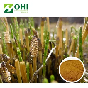 7% silicon horsetail extract