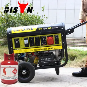 BISON (الصين) BS6500J (ح) 5KW 5KVA من ذوي الخبرة المورد جولة إطار مرحلة واحدة صغيرة مدخل مصدر الطاقة