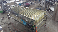 Negen Track Model Citrusvruchten Sorteren Machine