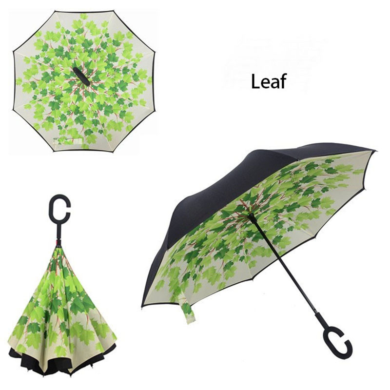 Leaf