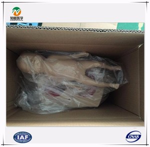 Recursos Didácticos BIX-F8 conocimientos de partería simulador ginecológico - Product Image 6