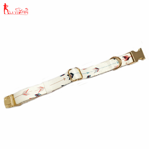 Juego de correa de <span class=keywords><strong>collar</strong></span> de perro mascota personalizado para perros pequeños, medianos y grandes, collares de nailon con patrón personalizado - Product Image 3