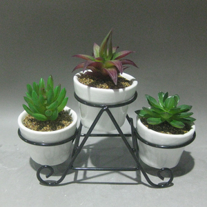 <span class=keywords><strong>Amazon</strong></span> venta pequeño redondo blanco de cerámica planta suculenta olla con soporte de metal - Product Image 6