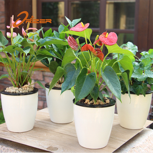 Planteurs fleur décoration jardin fleur ronde pots grand blanc vases en gros - Product Image 3