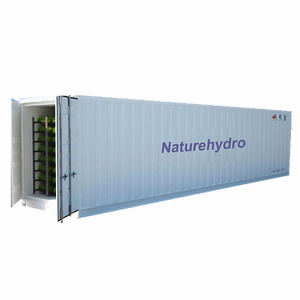 Weizengras hydrokultur wachsen container gerste futter regale system