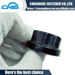 Nhà Cung Cấp Chất Lượng Titan <span class=keywords><strong>12</strong></span> Điểm Bích NUT - Product Image 5