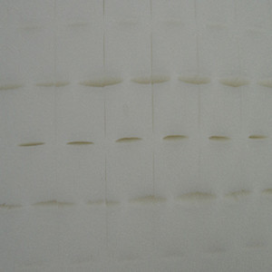 <span class=keywords><strong>Esponja</strong></span> de Alta Calidad, Pequeña y Ligera, de Color Blanco, para Plántulas de Vegetales Hidropónicos - Product Image 4