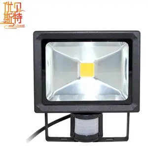 Công Suất Cao Bán Buôn 10W 20W 30W 50W 100W Đèn Led Chiếu Sáng 240V PIR Thụ Động Cảm Biến Hồng Ngoại Năng Lượng Ánh Sáng Với Cuộn Cảm