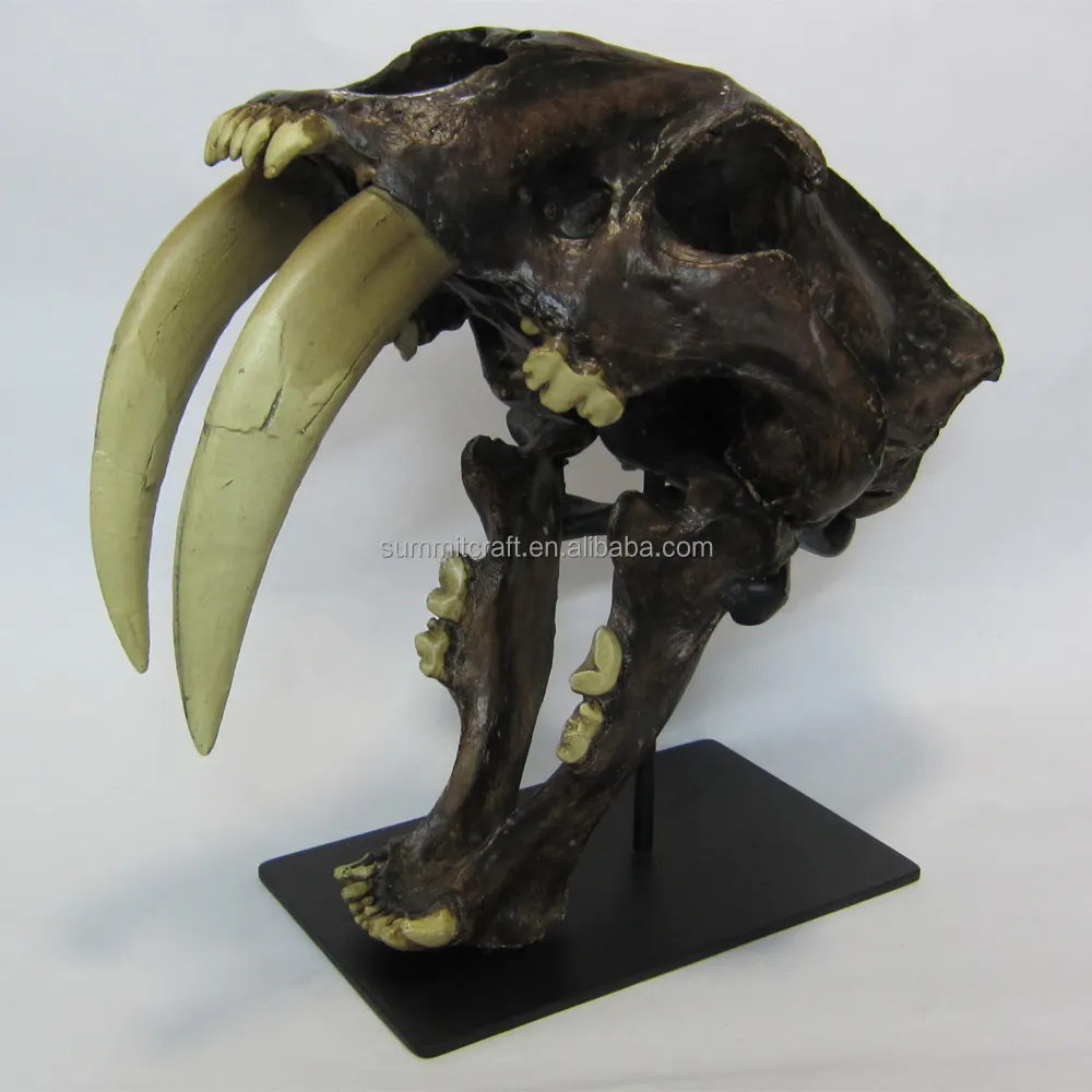 Custom Resin Antique Smilodon Animal Vintage Artificial Fossil Saber tooth Saber fossil