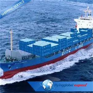 Quality inspection service Best cargo agency sea freight to FBA warehouse