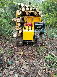 Minicargador Todoterreno, Mini Tractor con Volquete, Volquete Móvil para Frutas de <span class=keywords><strong>Palma</strong></span> para Jardín, Carretilla Motorizada, Precio - Product Image 4