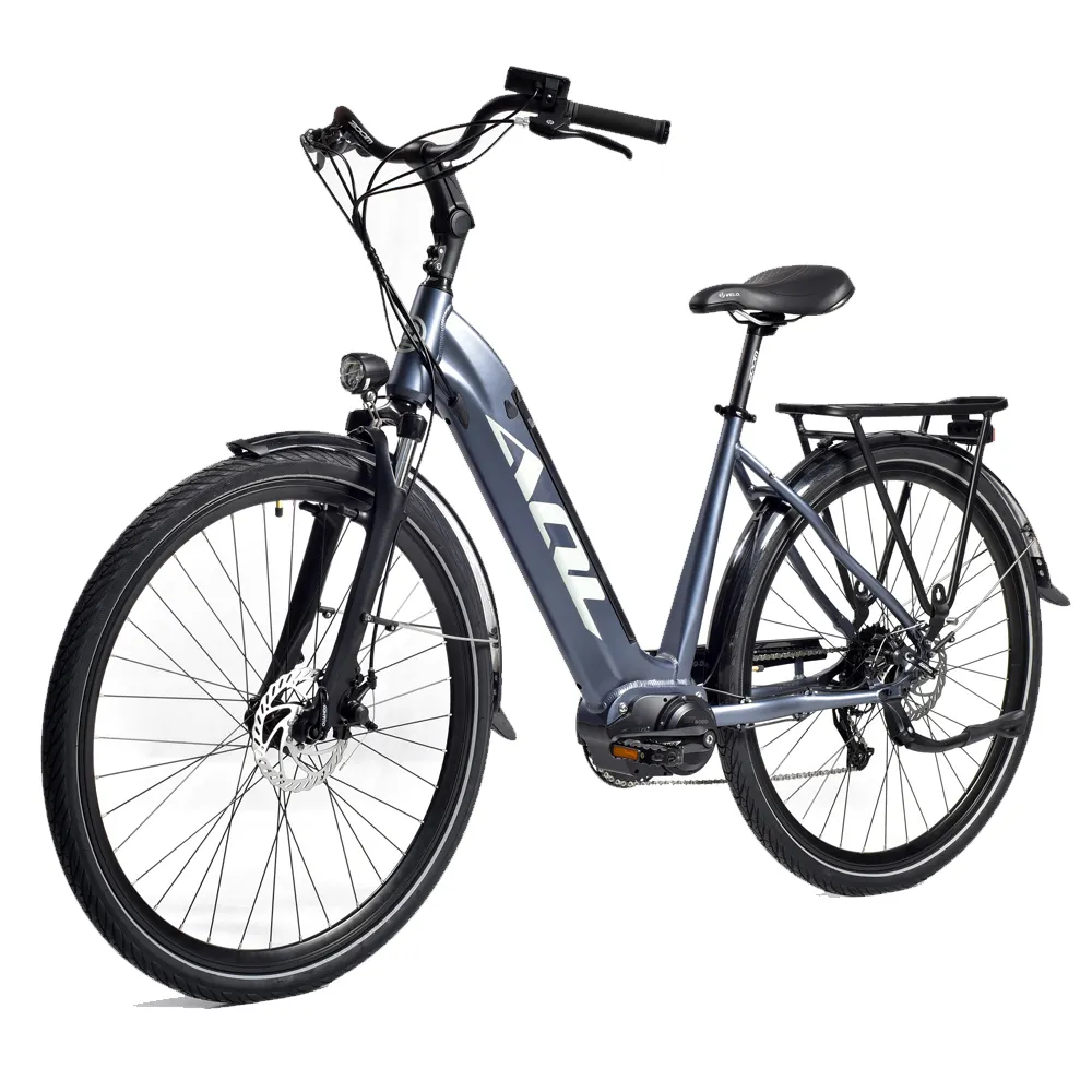 Sepeda Listrik kota hijau 250W 500W, sepeda listrik jalan murah Tiongkok untuk wanita