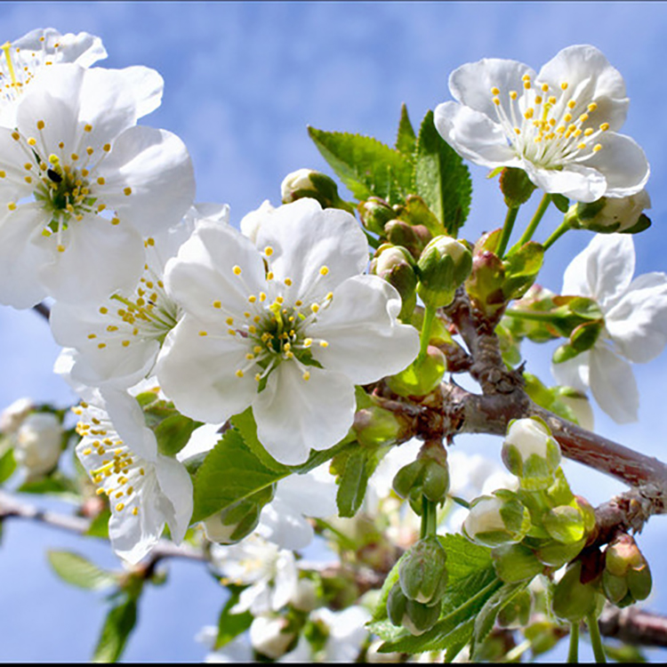 Adapté aux besoins du client