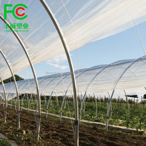 Lámina <span class=keywords><strong>de</strong></span> Plástico <span class=keywords><strong>de</strong></span> 0.15 mm <span class=keywords><strong>de</strong></span> Espesor para Cubierta <span class=keywords><strong>de</strong></span> Invernadero, <span class=keywords><strong>Película</strong></span> <span class=keywords><strong>de</strong></span> Polietileno Transparente - Product Image 2