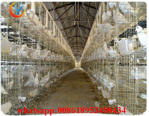 Piège à pigeons pour la colombophilie, utilisé pour les cages d'élevage de volailles, <span class=keywords><strong>cage</strong></span> à vendre - Product Image 2