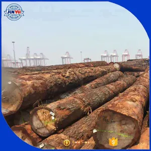 red pine logs on sale red pine wood logs from russia ren pine logs