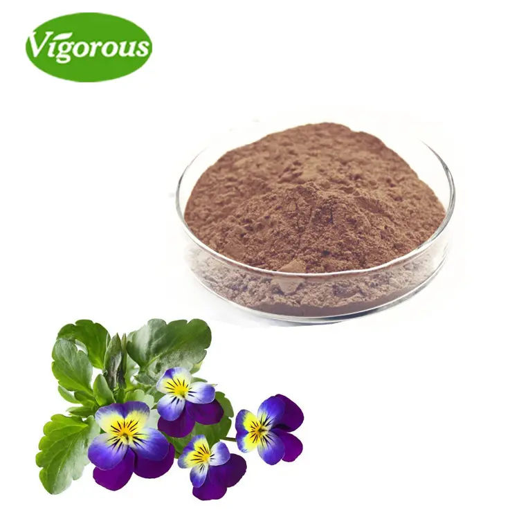 Puur Natuurlijke Allergie Veiligheid Wilde Viooltje Viola Tricolor Extract