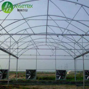 Grow tent complete kit Low Cost Greenhouse with equipments