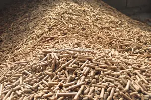 Sägemehl Holz Biomasse Pellet maschine