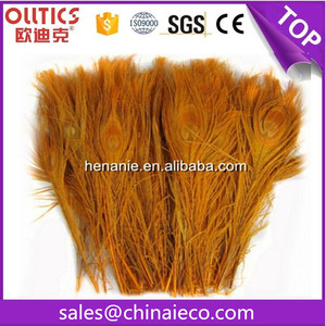 Giá Thấp Tím Lông Công Nhân Tạo Nhuộm Lông Để Bán - Product Image 4