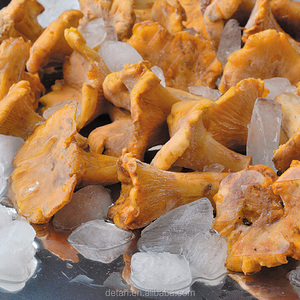 Detan Girolles Surgelées/Noms de Champignons - Product Image 5