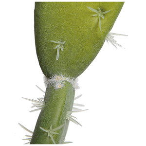 Cactus planta <span class=keywords><strong>bonsai</strong></span> cactus y suculentas vivero artificial verde - Product Image 5