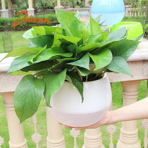 Maceta profesional con forma de bola, auto riego, personalizada, precio barato, venta al por mayor - Product Image 3