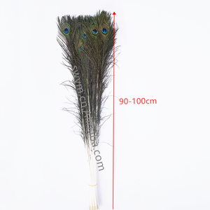 Giá Tốt Nhất Tự Nhiên Peacock Tail Feathers 10-12in Peacock Feather - Product Image 4