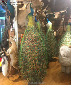 <span class=keywords><strong>Statue</strong></span> de paon simulée haute qualité, décoration intérieure - Product Image 4