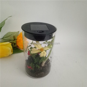 Cylinder Glass Light-up <strong>Terrarium</strong> <strong>Kit</strong> for Kids with LED Solar Light Lid - Product Image 6