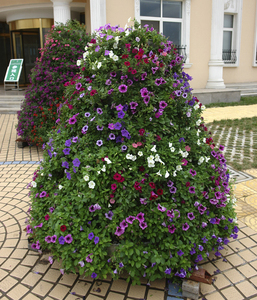 Maceta Vertical de fresa <span class=keywords><strong>para</strong></span> jardinería, torre Vertical <span class=keywords><strong>para</strong></span> jardín, flores, torre hidropónica Vertical - Product Image 6