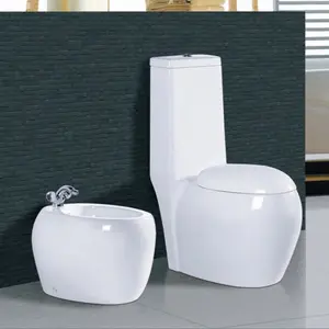 High Quality Bathroom design built-in bidet toilet