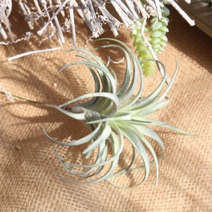 S-3293 Succulentes artificielles pas chères directement de l'usine, plantes artificielles sans pot, tiges de <span class=keywords><strong>Tillandsia</strong></span> pour arrangements floraux - Product Image 6