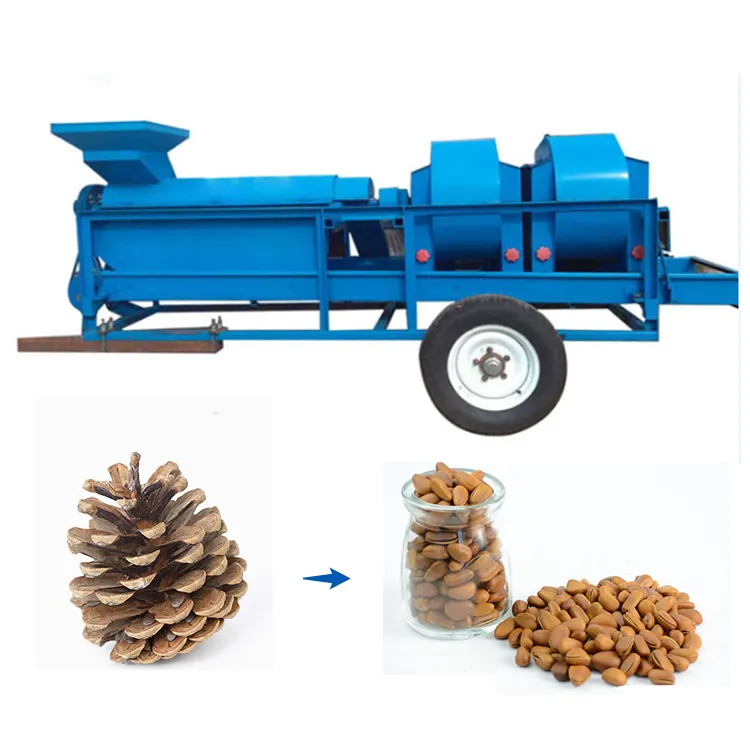 Lebanese pine nuts shelling machine acorn cracker machine from China supplier