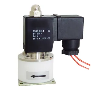 लंबी उम्र 12V 24V मजबूत एसिड रासायनिक के लिए ओजोन PTFE Solenoid वाल्व