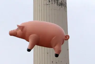 2014 nova pink floyd tipo de porco inflável / balão porco inflável