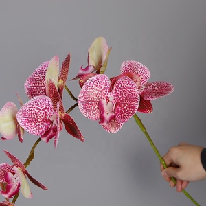 Hoa Lan 3D Nhân Tạo Giá Rẻ Hoa Thật Cảm Ứng Để Trang Trí Trong Nhà Còn Hàng - Product Image 2