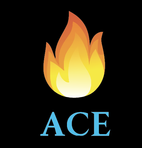 Guangzhou Ace Sports Goods Limited logo