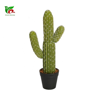 Nuevo Producto, árbol artesanal, planta suculenta, Cactus Artificial, bonsái, planta verde - Product Image 4