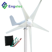 300W petit moulin à vent haute efficacité, système d'éclairage routier hybride solaire éolien 12V 24V, générateur d'éolienne à sortie de pleine puissance 100%