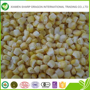 Chinesischen importeure ISO gefrorene zuckermais grain made in China