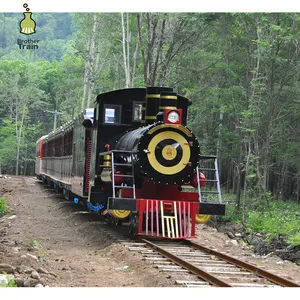 Custom locomotief vermaakrit elektrische mini diesel trein