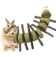 Bunny Chew Speelgoed Tanden Organic Apple Wood Sticks Bunny Konijnen Chinchilla Cavia Hamsters Papegaaien Kleine Dieren