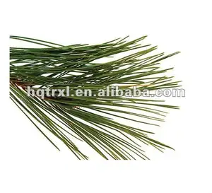 Pine Oil 85% Pine Oil
