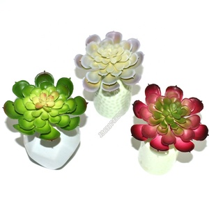 Nuevo estilo directamente de la fábrica barato y de <span class=keywords><strong>alta</strong></span> calidad de PVC mini <span class=keywords><strong>echeveria</strong></span> planta - Product Image 6