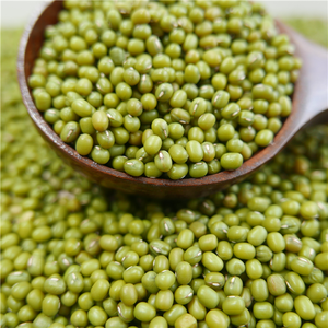 散装绿色绿豆出售