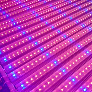 Tubo <span class=keywords><strong>de</strong></span> Luz LED para Cultivo T8 <span class=keywords><strong>de</strong></span> 1200 mm, 18 W, Fabricante OEM/ODM, para Invernadero e Hidroponía - Product Image 6