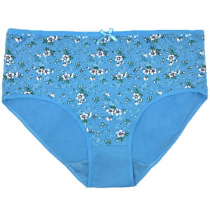 Sous-vêtements Yun Meng Ni, nouveau style, tailles 2XL/3XL/4XL, culottes hipster grandes tailles pour femmes, lingerie sexy - Product Image 5
