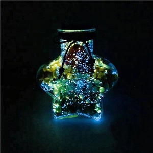 Vacío Navidad cristal estrella luminosa con corcho tapa al por mayor - Product Image 5